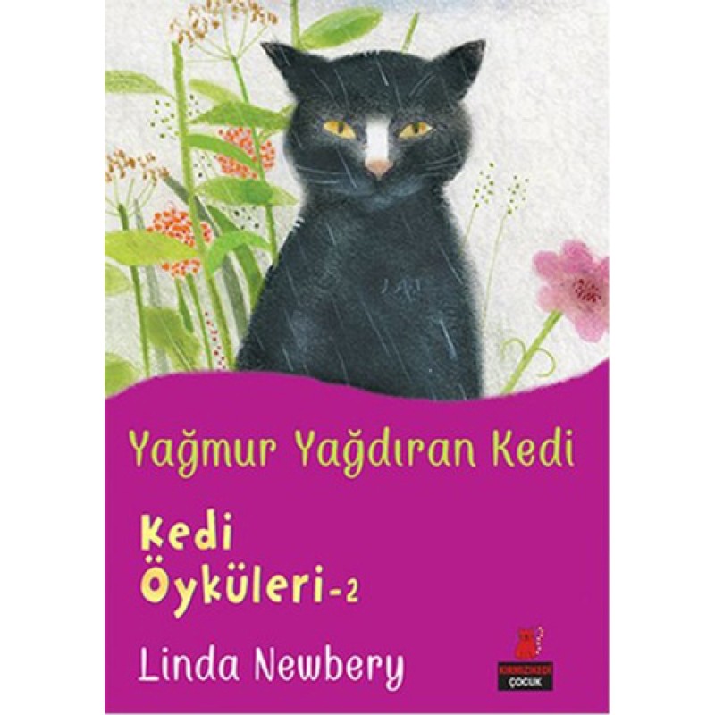 Yağmur Yağdıran Kedi Yağmur Yağdıran Kedi