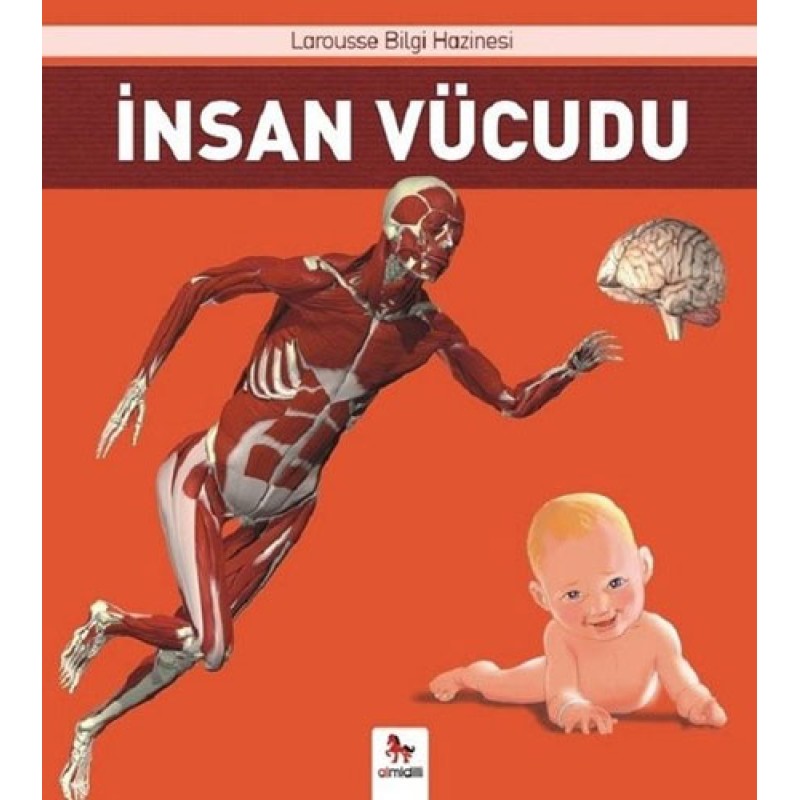 İnsan Vücudu İnsan Vücudu