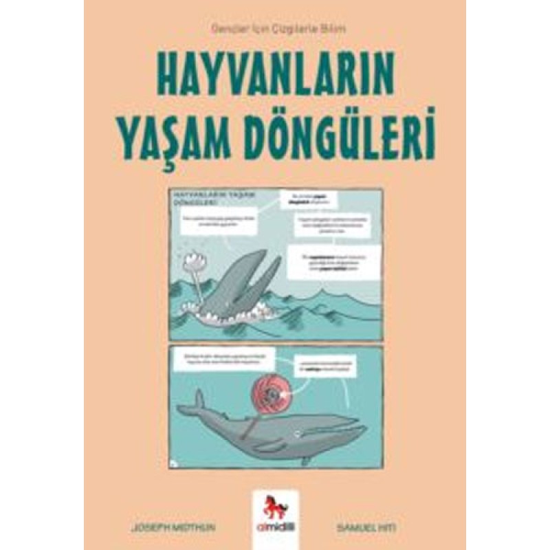 Hayvanların Yaşam Döngüleri Hayvanların Yaşam Döngüleri