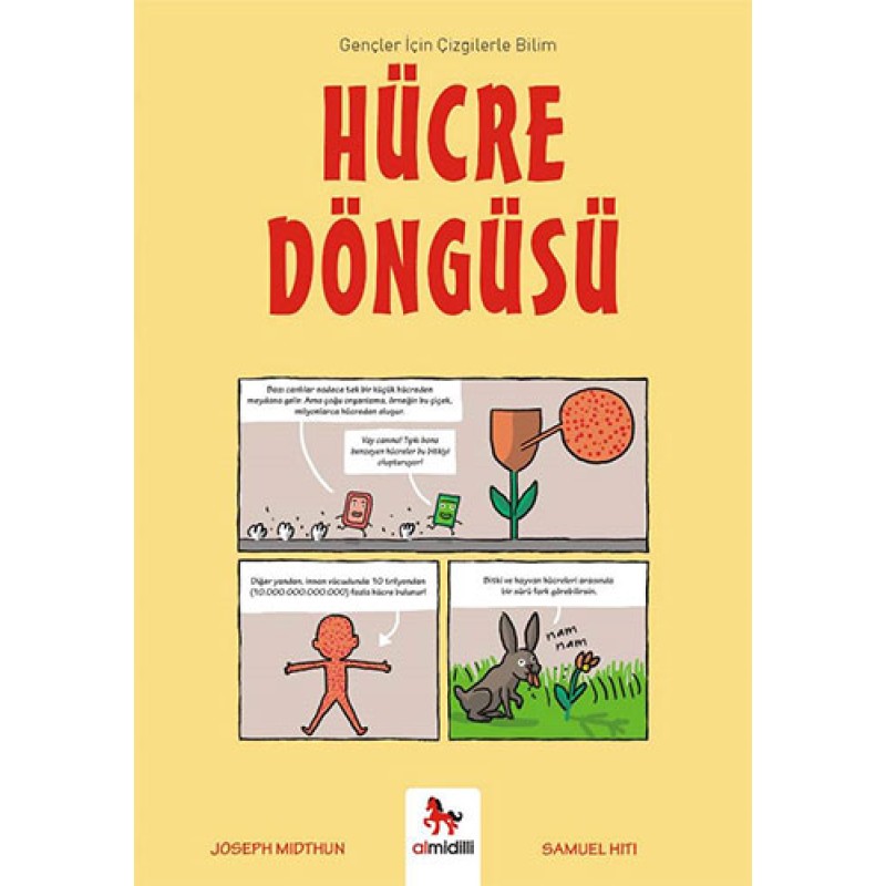 Hücre Döngüsü Hücre Döngüsü