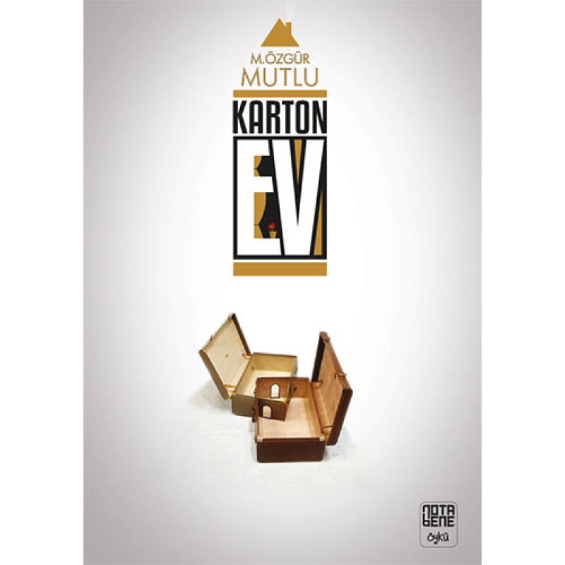 Karton Ev Karton Ev