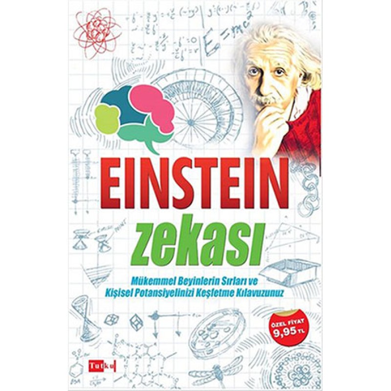 Einstein Zekası
