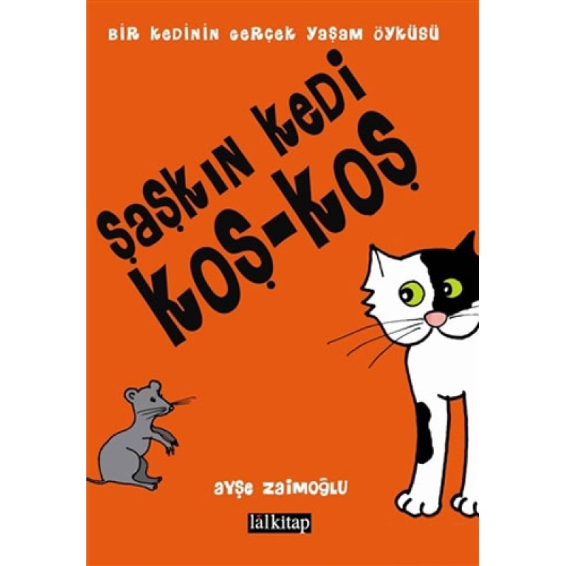 Şaşkın Kedi Koş - Koş