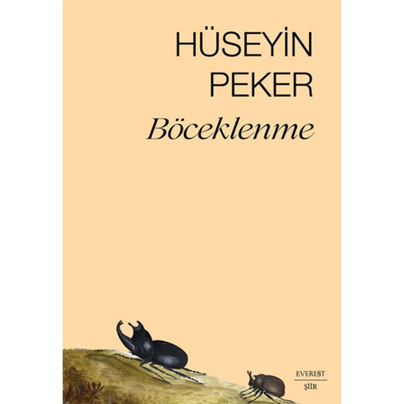 Böceklenme Böceklenme