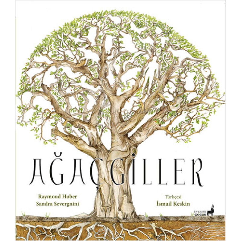 Ağaçgiller Ağaçgiller