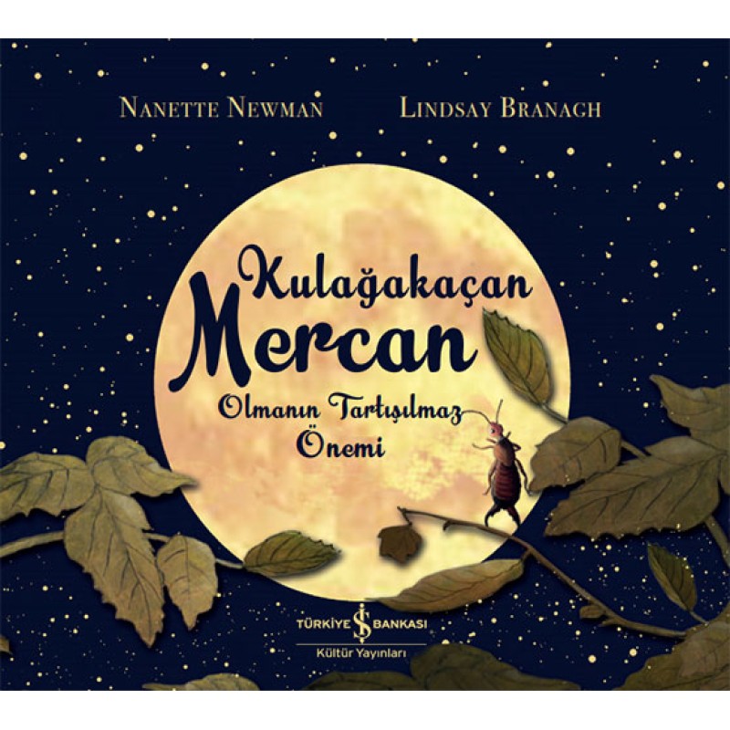 Kulağakaçan Mercan Olmanın Tartışılmaz Önemi Kulağakaçan Mercan Olmanın Tartışılmaz Önemi