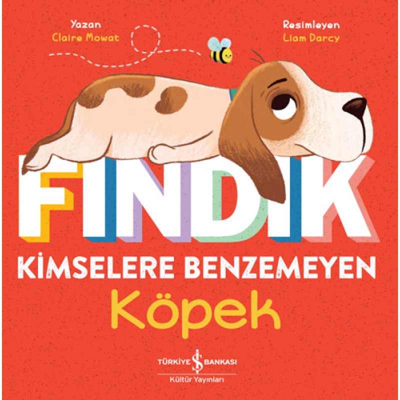 Fındık - Kimselere Benzemeyen Köpek Fındık - Kimselere Benzemeyen Köpek