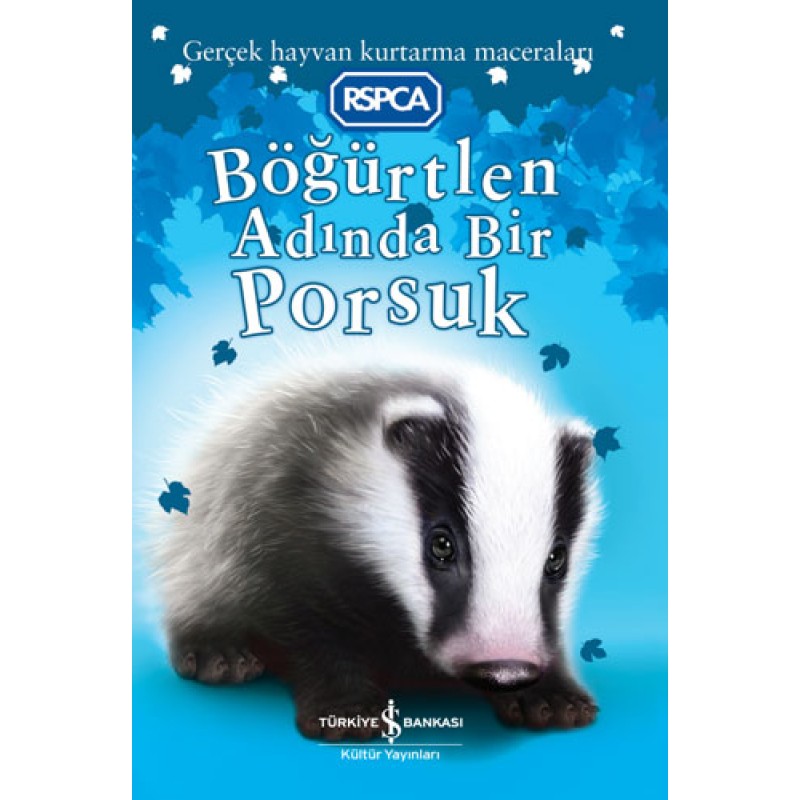 Böğürtlen Adasında Bir Porsuk Böğürtlen Adasında Bir Porsuk