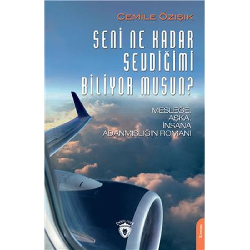 Seni Ne Kadar Sevdiğimi Biliyor musun?