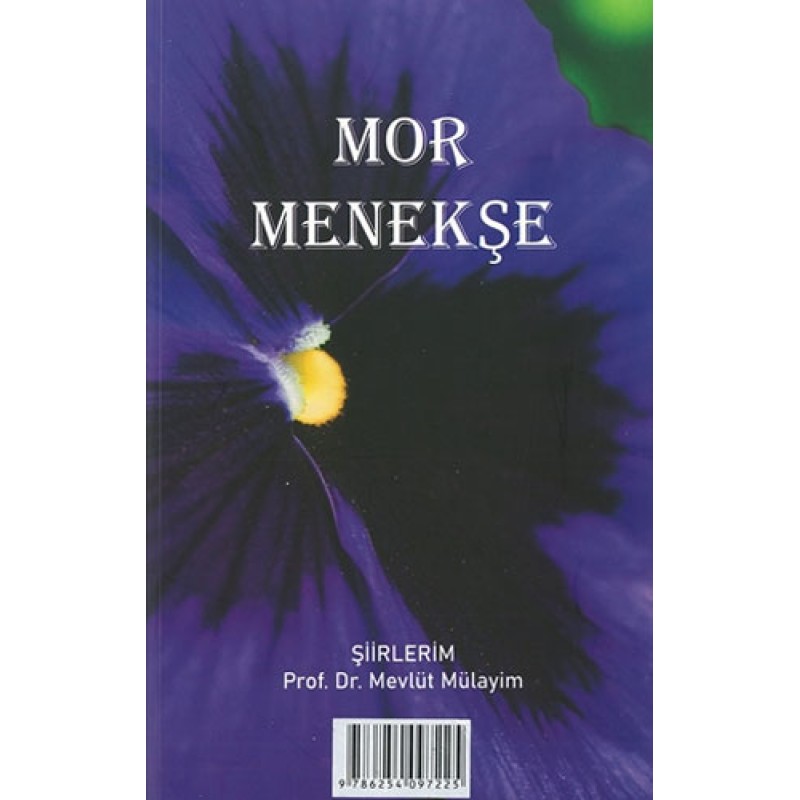 Mor Menekşe Mor Menekşe