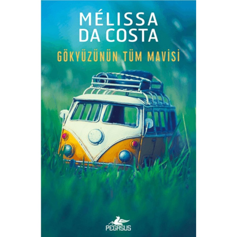 Gökyüzünün Tüm Mavisi Gökyüzünün Tüm Mavisi
