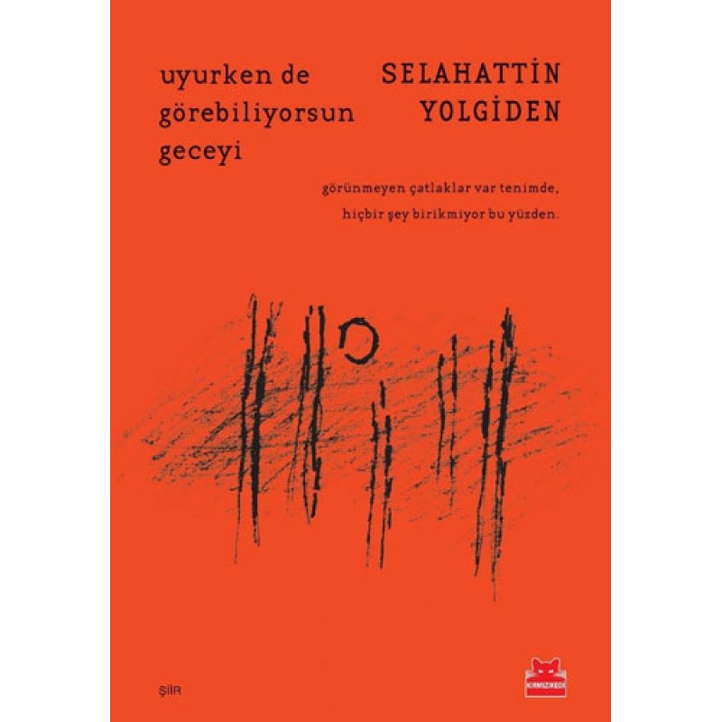 Uyurken de Görebiliyorsun Geceyi