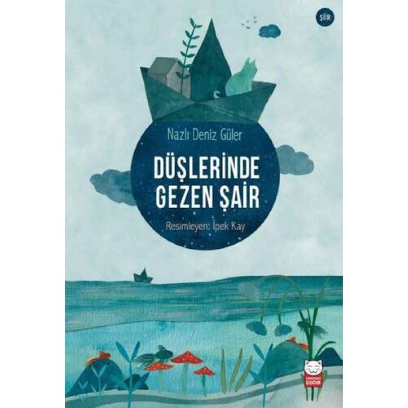 Düşlerinde Gezen Şair Düşlerinde Gezen Şair