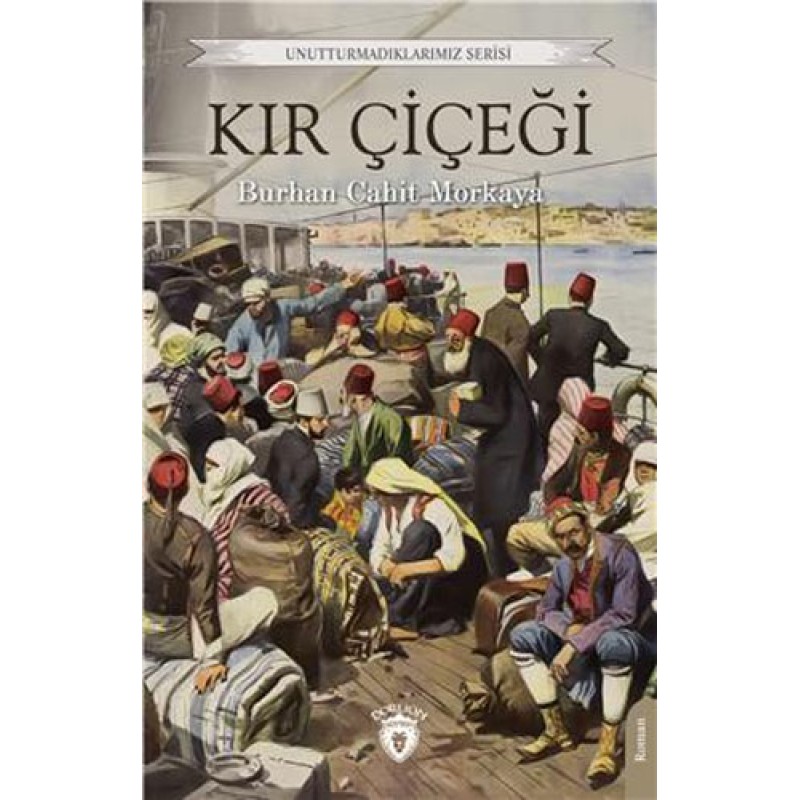 Kır Çiçeği Kır Çiçeği