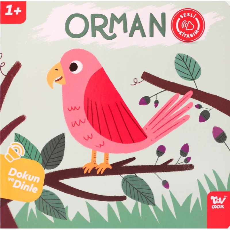 Dokun ve Dinle Sesli Kitabım Orman Dokun ve Dinle Sesli Kitabım Orman