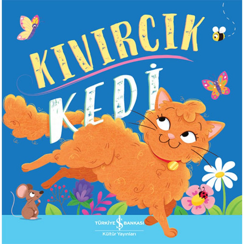Kıvırcık Kedi Kıvırcık Kedi