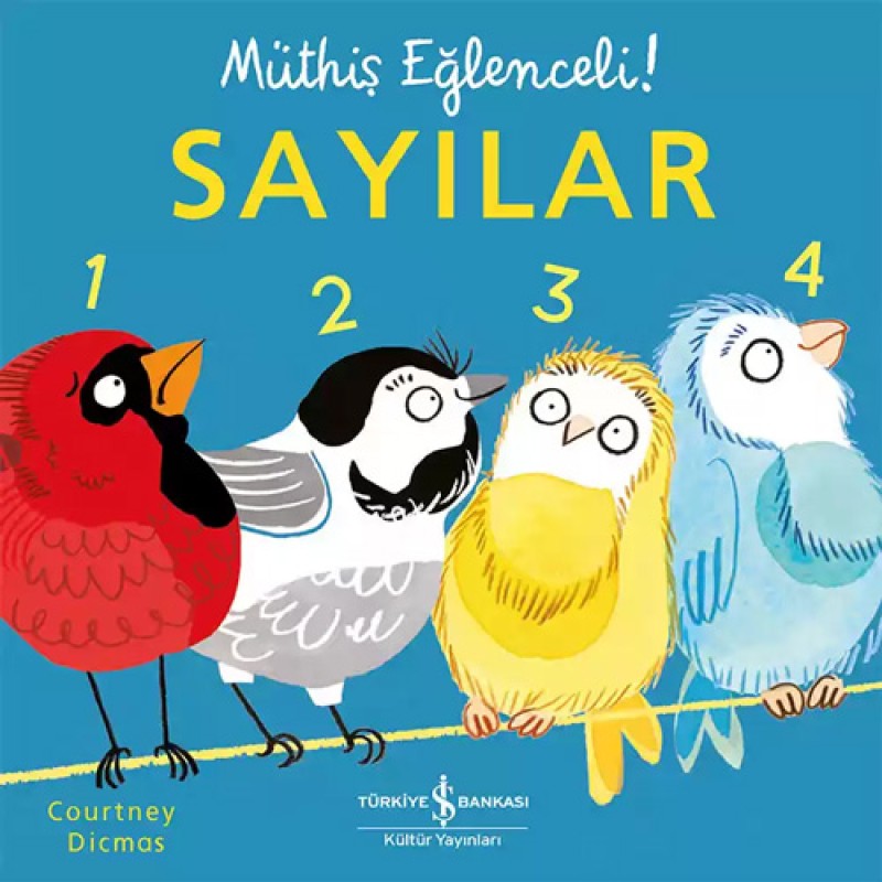 Müthiş Eğlenceli! - Sayılar