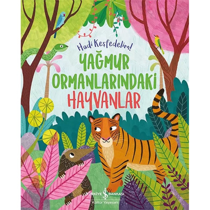 Yağmur Ormanlarındaki Hayvanlar Yağmur Ormanlarındaki Hayvanlar