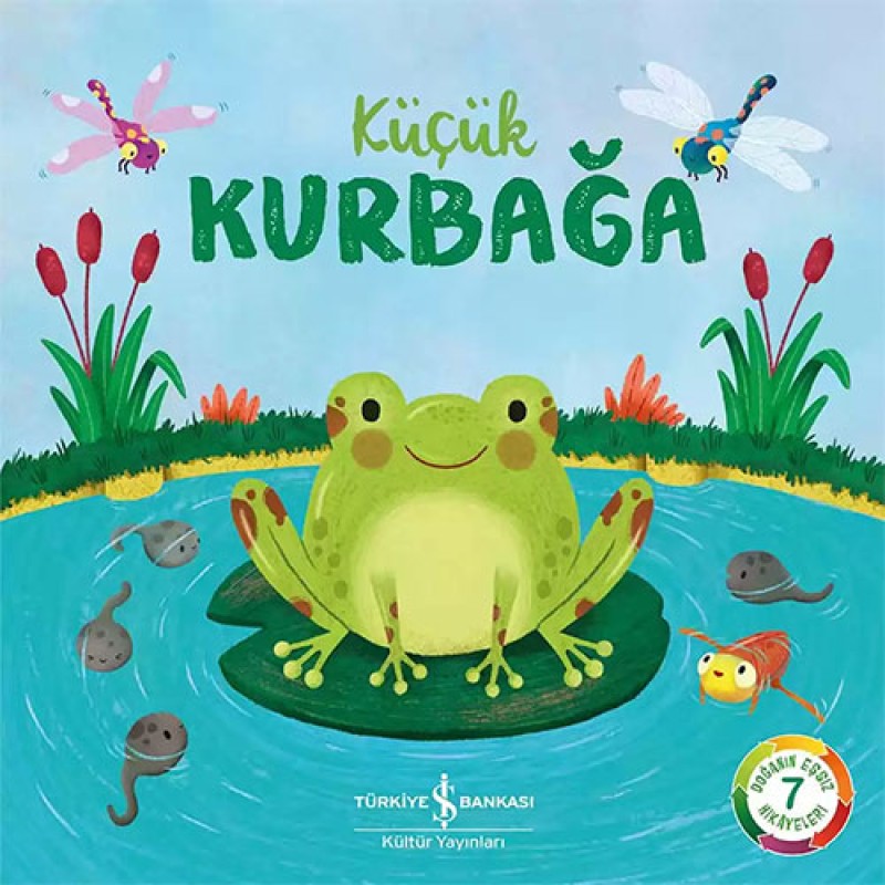 Küçük Kurbağa Küçük Kurbağa