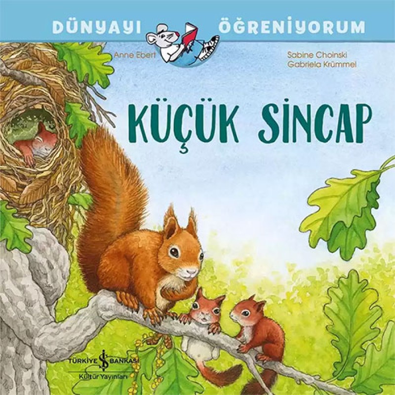 Küçük Sincap Küçük Sincap