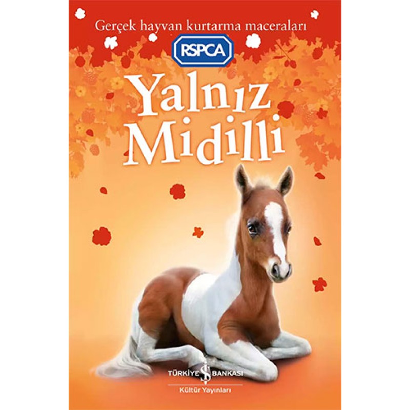 Yalnız Midilli Yalnız Midilli