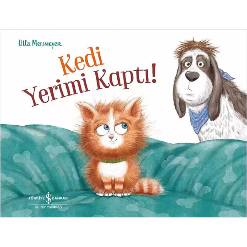 Kedi Yerimi Kaptı! Kedi Yerimi Kaptı!