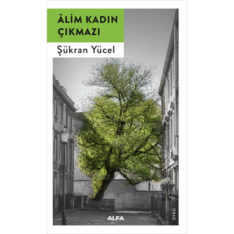 Alim Kadın Çıkmazı Alim Kadın Çıkmazı