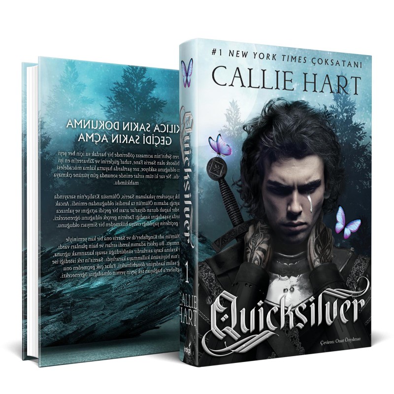 Quicksilver (Ciltli) Quicksilver (Ciltli)