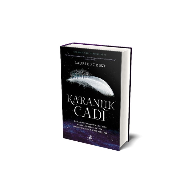 Karanlık Cadı (Ciltli) Karanlık Cadı (Ciltli)