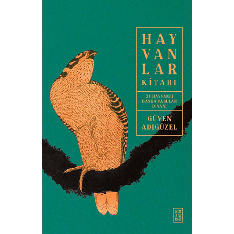 Hayvanlar Kitabı Hayvanlar Kitabı
