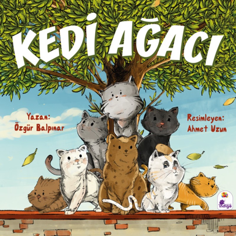 Kedi Ağacı Kedi Ağacı