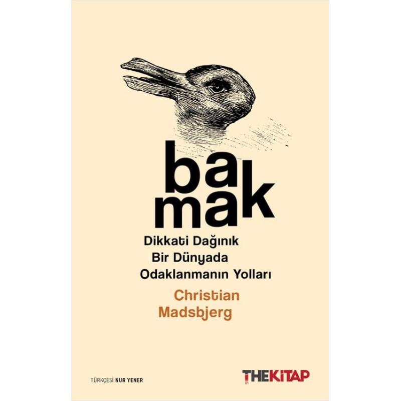 Bakmak