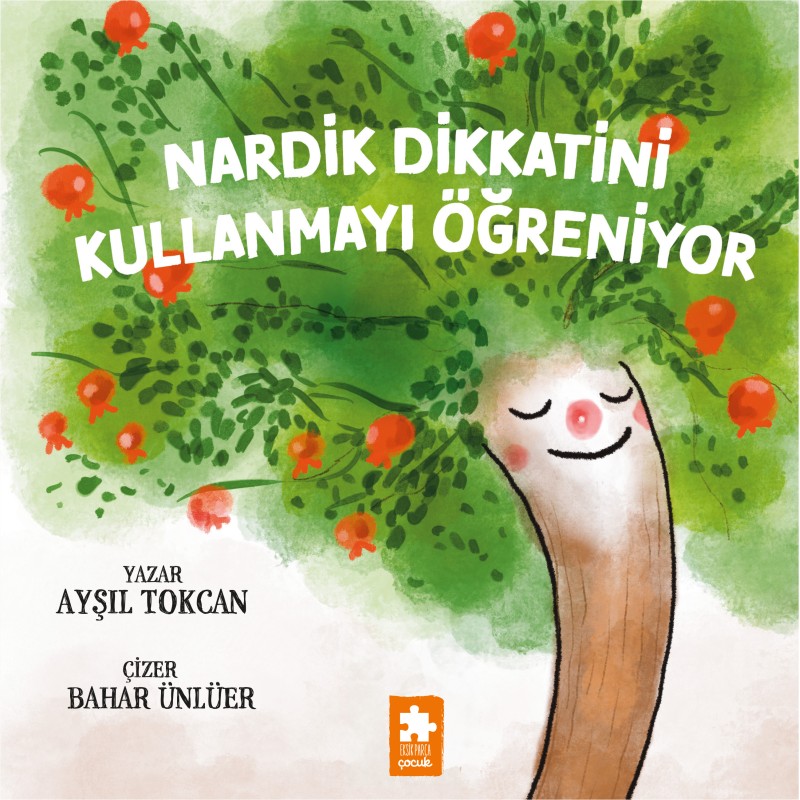Nardik Dikkatini Kullanmayı Öğreniyor Nardik Dikkatini Kullanmayı Öğreniyor