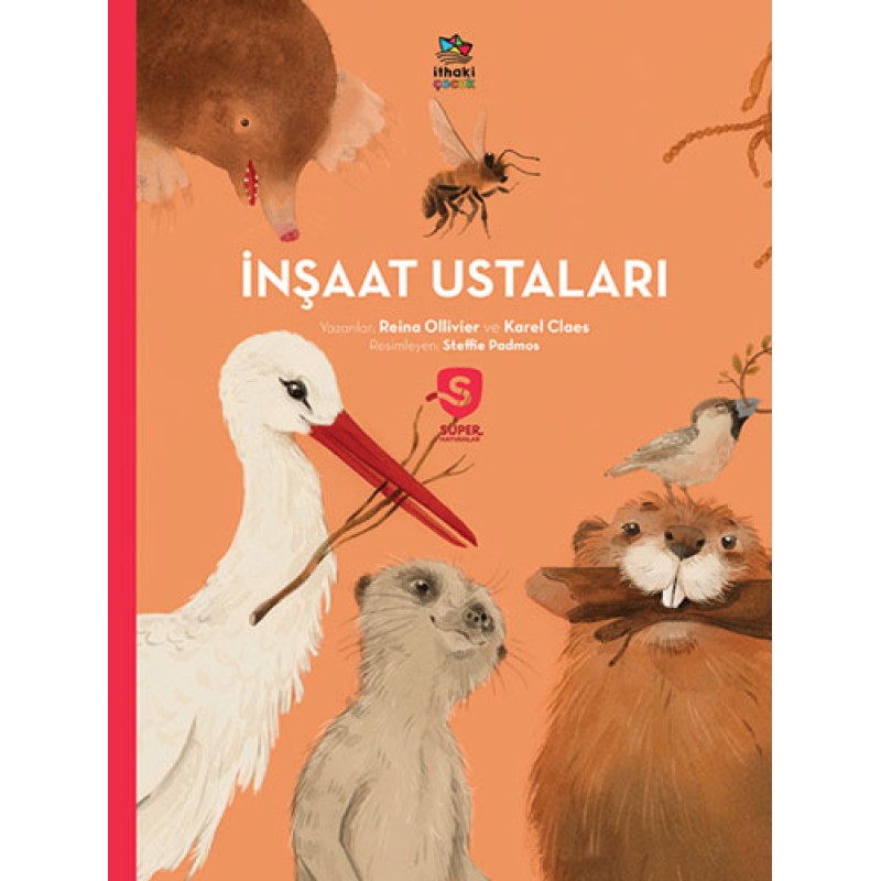 İnşaat Ustaları