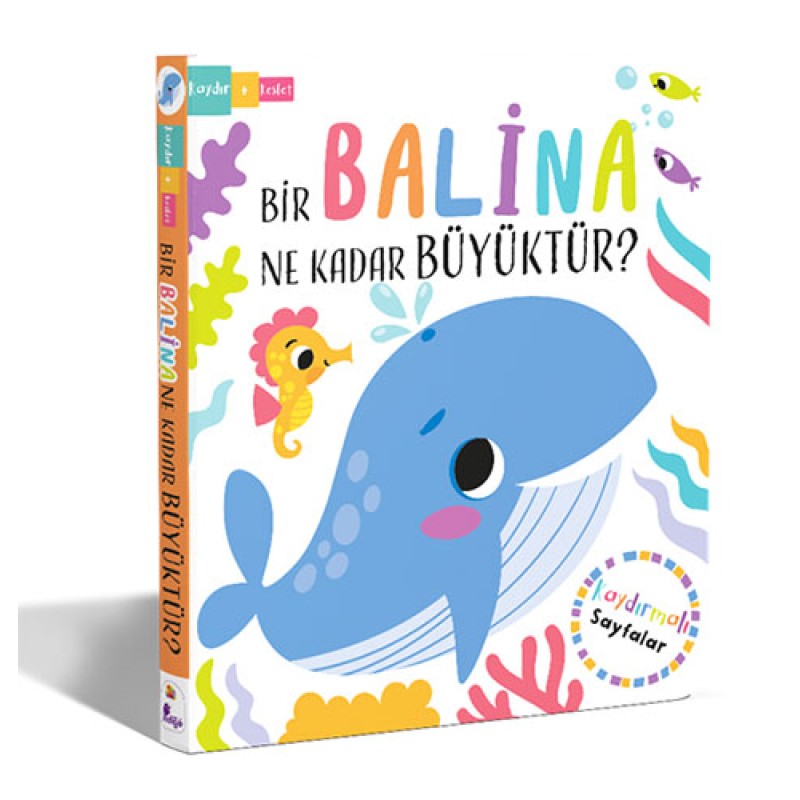 Bir Balina Ne Kadar Büyüktür? – Kaydır + Keşfet (Ciltli)