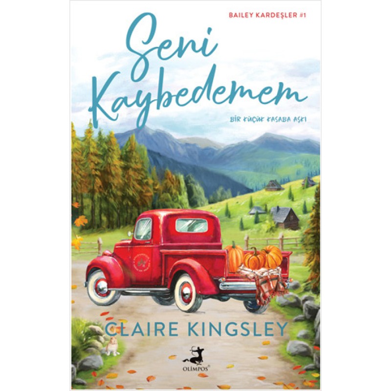 Seni Kaybedemem