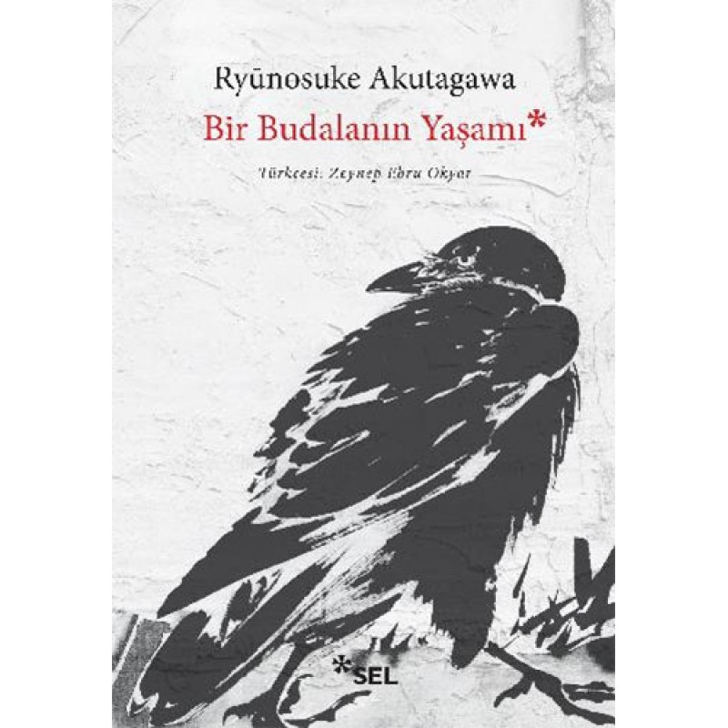 Bir Budalanın Yaşamı