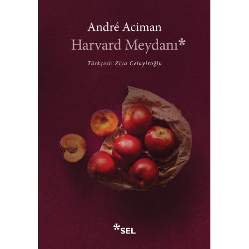 Harvard Meydanı Harvard Meydanı