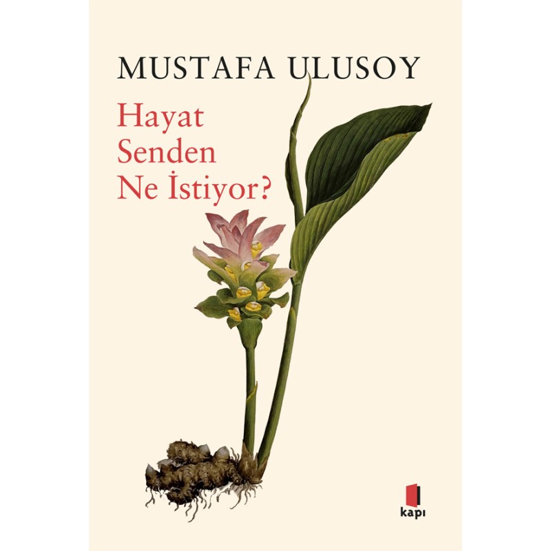 Hayat Senden Ne İstiyor? Hayat Senden Ne İstiyor?