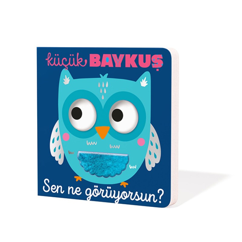 Küçük Baykuş - Sen Ne Görüyorsun? (Ciltli)