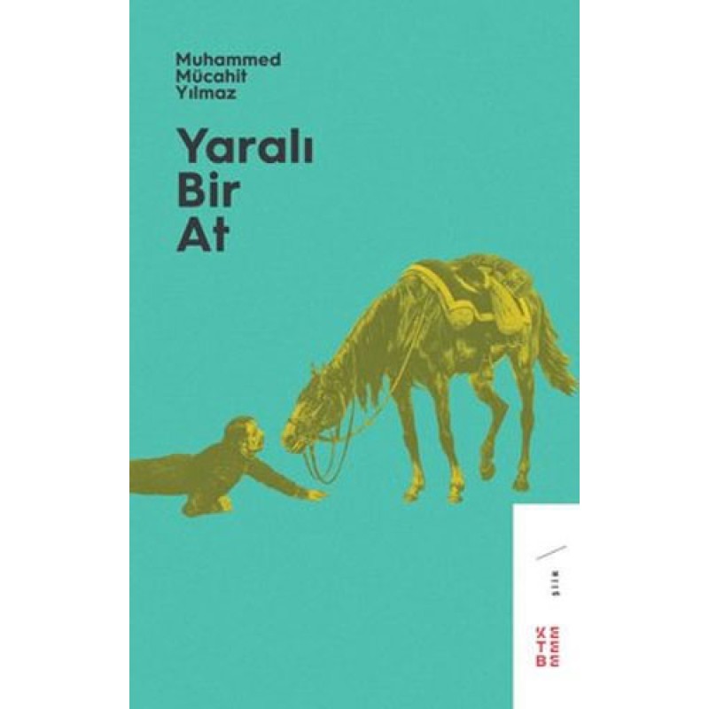 Yaralı Bir At Yaralı Bir At