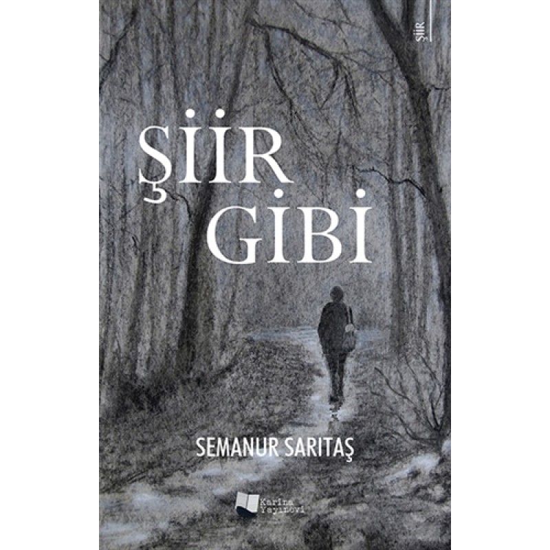 Şiir Gibi Şiir Gibi
