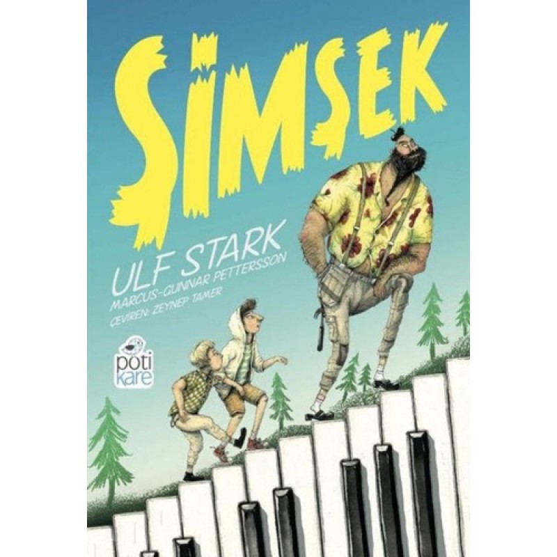Şimşek Şimşek