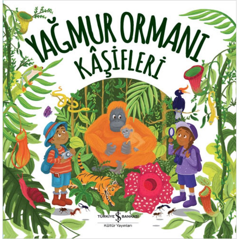 Yağmur Ormanı Kâşifleri