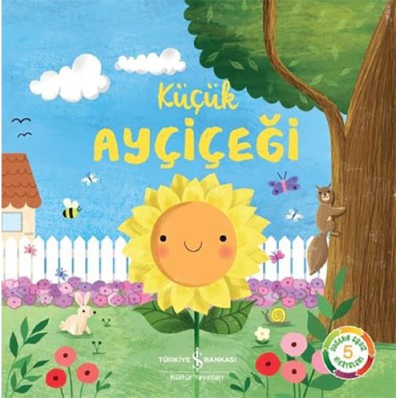 Küçük Ayçiçeği Küçük Ayçiçeği