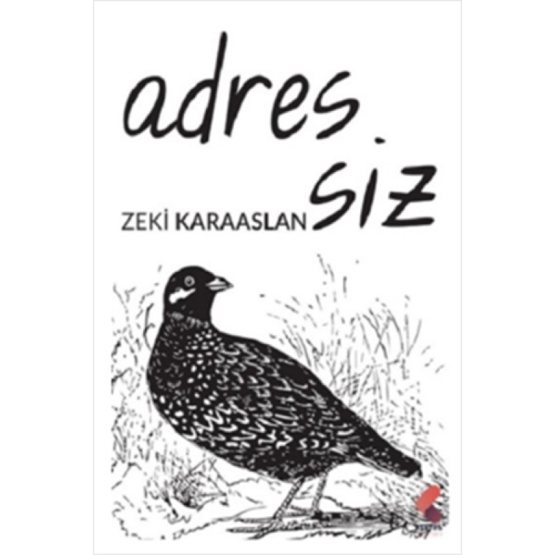 Adressiz Adressiz