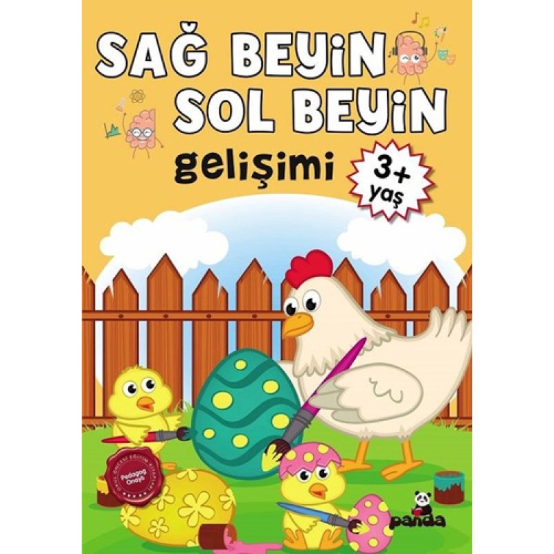 Sağ Beyin - Sol Beyin Gelişimi 3+ Yaş Sağ Beyin - Sol Beyin Gelişimi 3+ Yaş