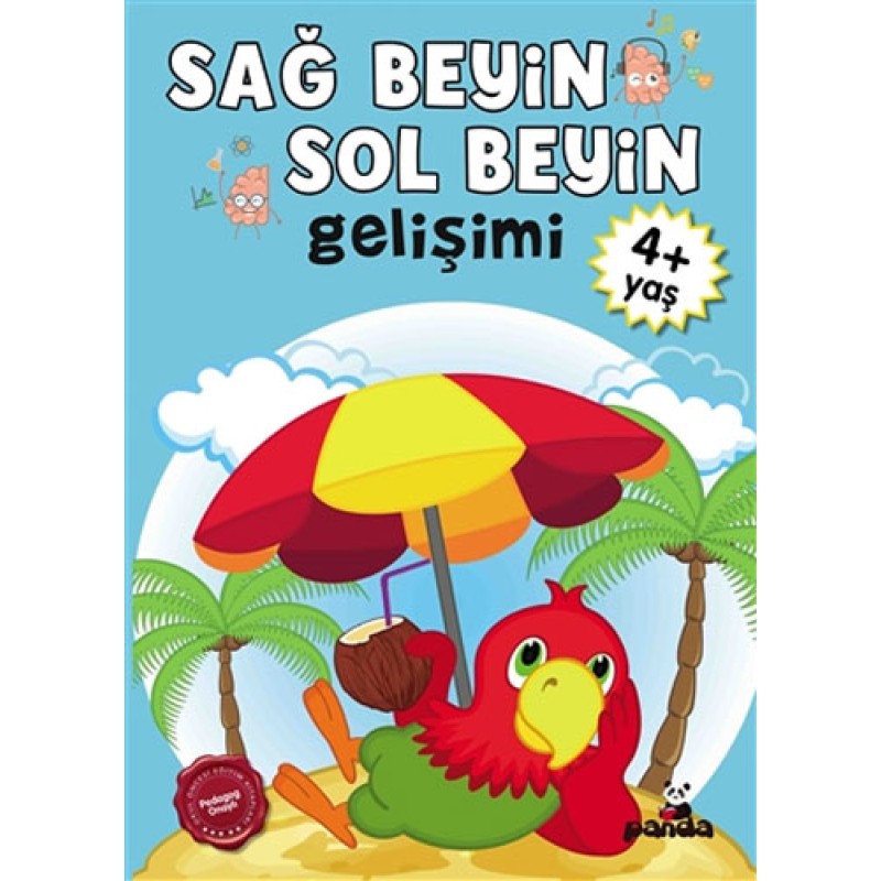 Sağ Beyin - Sol Beyin Gelişimi +4 Yaş Sağ Beyin - Sol Beyin Gelişimi +4 Yaş
