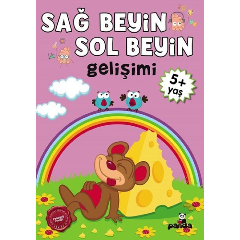 Sağ Beyin - Sol Beyin Gelişimi 5+ Yaş Sağ Beyin - Sol Beyin Gelişimi 5+ Yaş