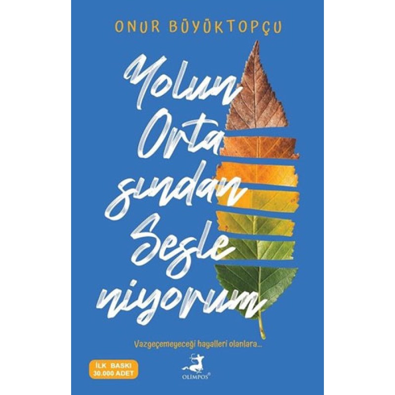 Yolun Ortasından Sesleniyorum Yolun Ortasından Sesleniyorum